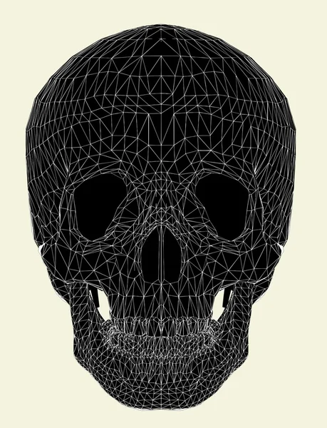 人間の頭蓋骨のベクトル — ストックベクタ