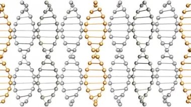 Doğrusal bir düzende DNA dize