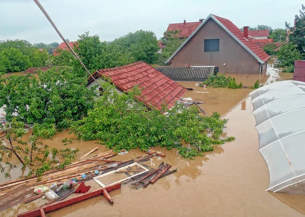 obrenovac Sırbistan - sel