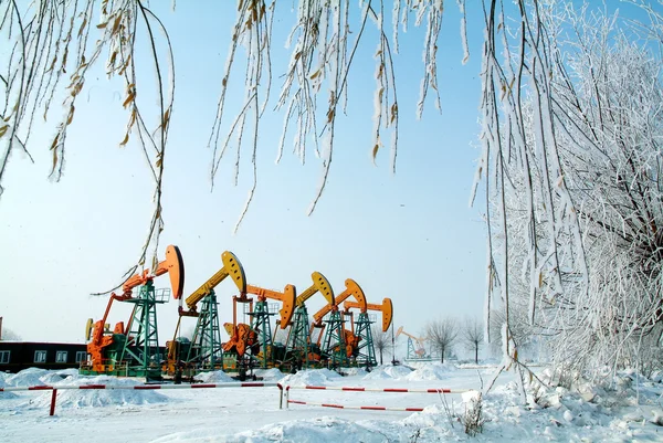 China daqing oil field, — Stock Photo, Image