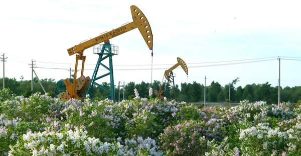 Petrochina, die Energiebasis, Daqing Ölfeld, — Stockfoto