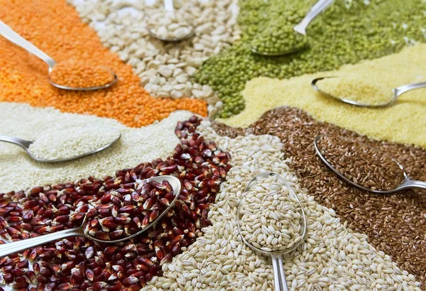 Spoons with different colorful cereals — Stock Photo, Image