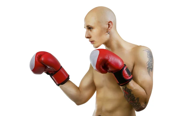 Young boxer on white, studio — Stock Photo, Image