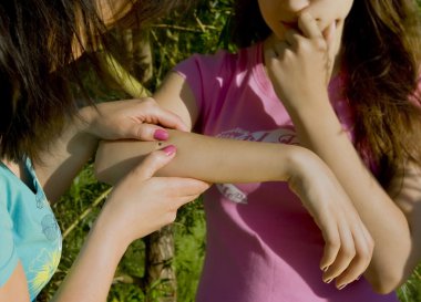 insan derisi gömülü ahşap tick arıyorsunuz