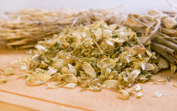 Dry herbals — Stock Photo, Image