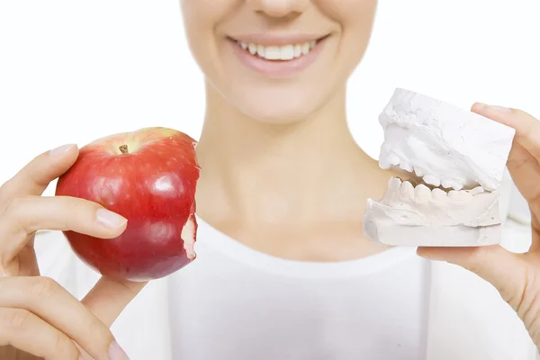 Correction of bite (denture model) — Stock Photo, Image