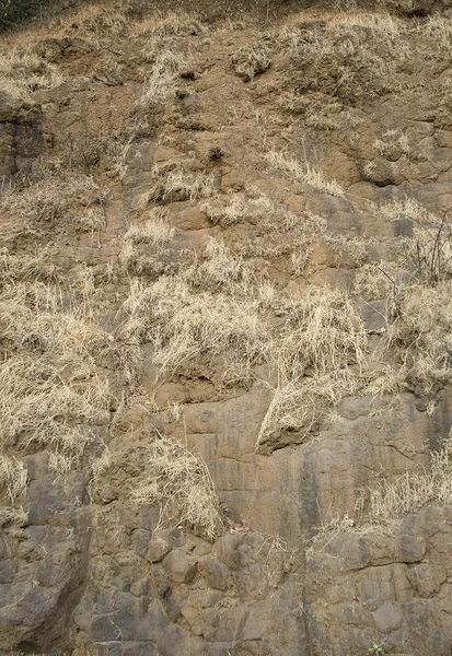 Fondo de textura de roca . — Foto de Stock