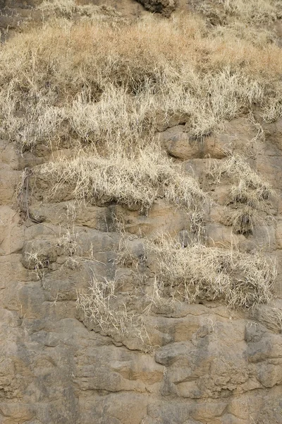 Bruin rots textuur. stenen achtergrond — Stockfoto
