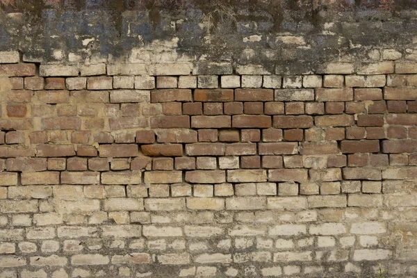 Antigua pared de ladrillo: Textura de ladrillo vintage — Foto de Stock