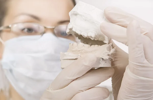 Zubař drží chrup modelu, korekci skusu — Stock fotografie