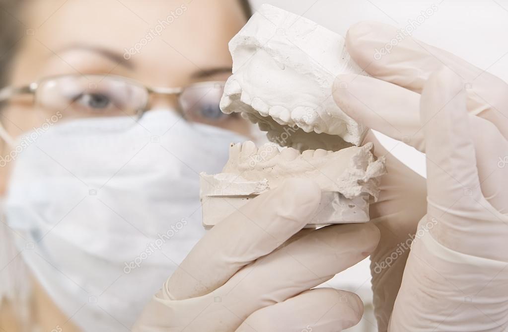 dentist holding denture model, correction of bite 