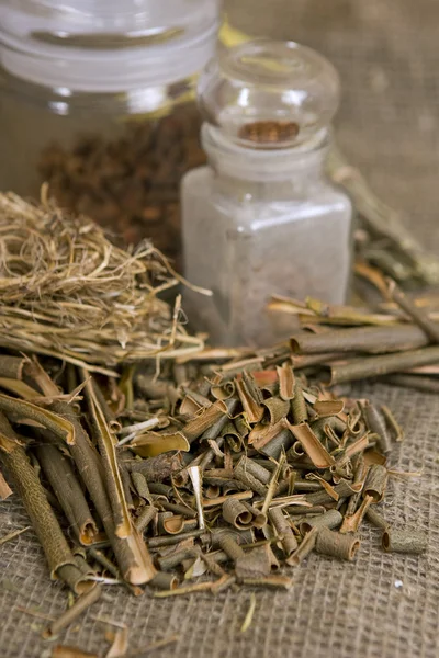 Dry herbals, different medicinal herbs - Willow bark medical — Stock Photo, Image