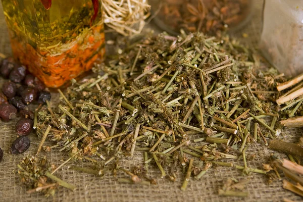 Сушені чікорі ( сухі лікарські трави ) — стокове фото