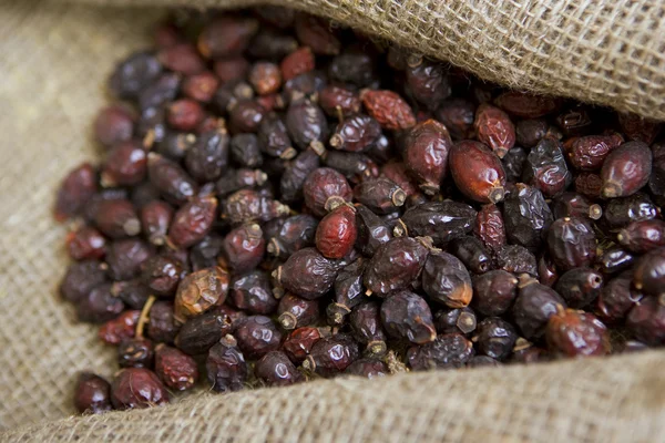 Briar kuru, closeup çok — Stok fotoğraf