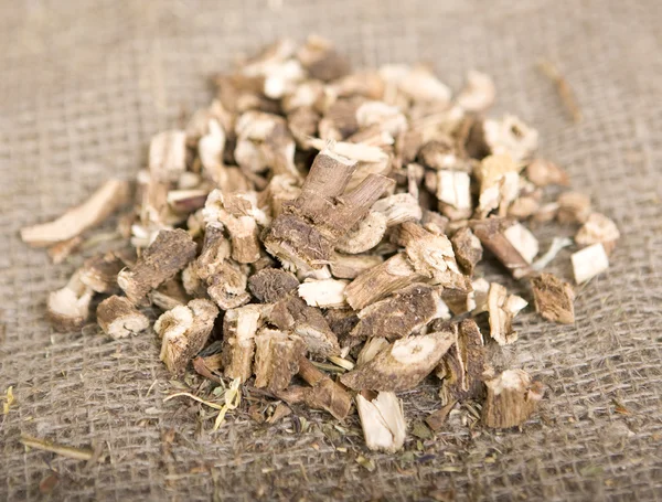kurutulmuş yabani hindiba (kuru şifalı otlar)