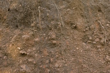 Rock doku kökenli kum. arka plan