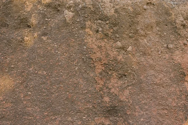 Sandsteinstruktur mit Wurzeln. Hintergrund — Stockfoto