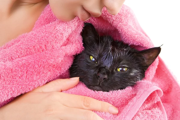 お風呂の後水浸し黒猫 ストック画像