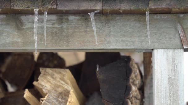 Vom Dach hängende Eiszapfen schmelzen infolge der Erwärmung — Stockvideo