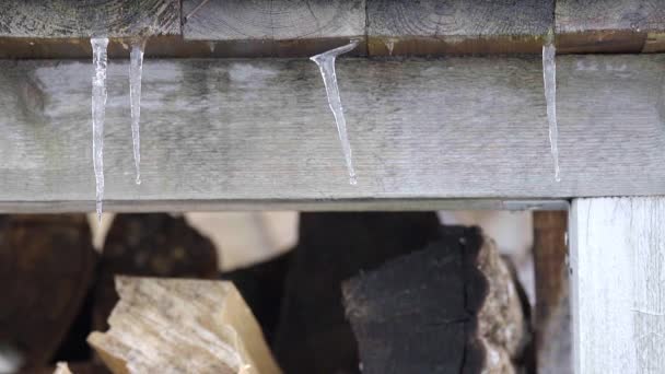 IJspegels die aan het dak hangen smelten als gevolg van de opwarming. slow motion — Stockvideo
