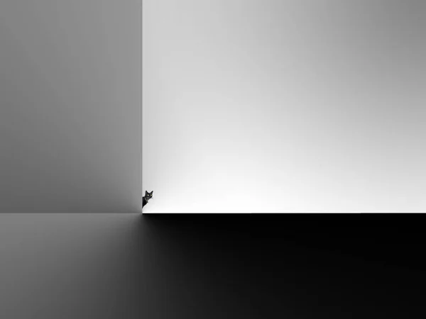 Little Black Cat on the simple black and white fine art photography