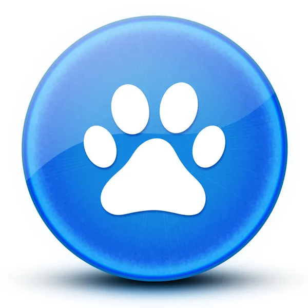 Pies Lub Kot Łapa Nadruk Oko Błyszczący Elegancki Niebieski Okrągły — Zdjęcie stockowe