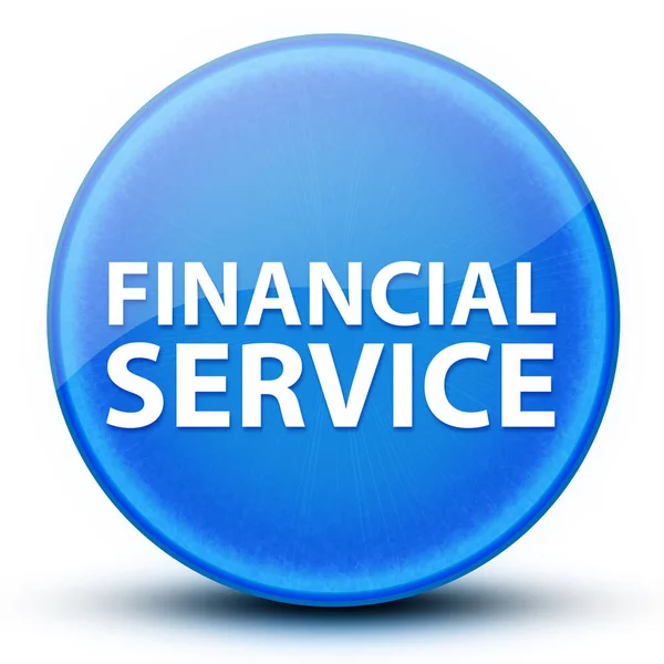 Financial Service Eyeball Glanzend Elegant Blauw Ronde Knop Abstracte Illustratie — Stockfoto