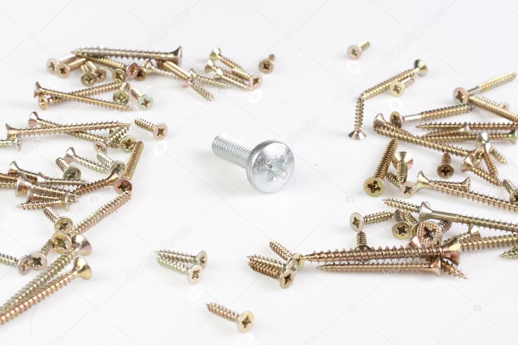 Silver metal screw surrounded by many tech screws.