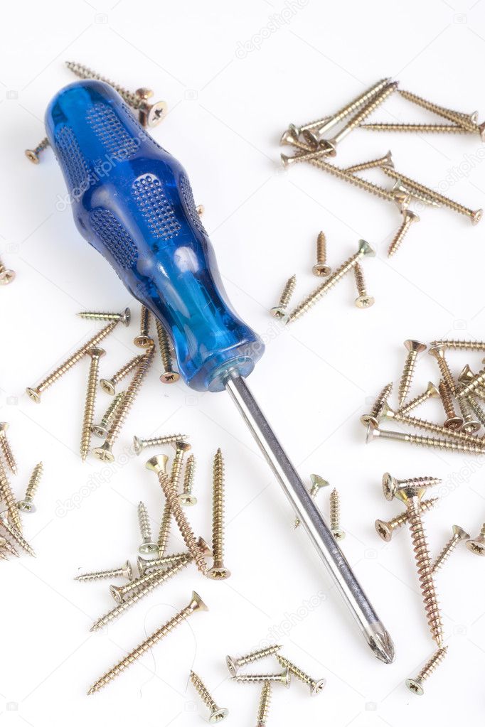 Blue screwdriver surrounded by many tech screws.