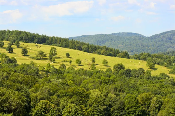 Polaco paisaje . Fotos de stock libres de derechos