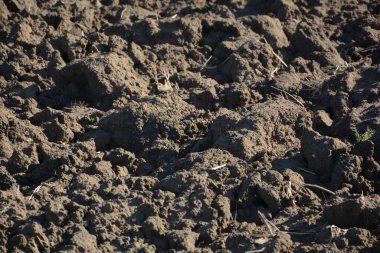 Tarımsal Arazi Yakın zamanda sürüldü ve hasat için hazırlandı
