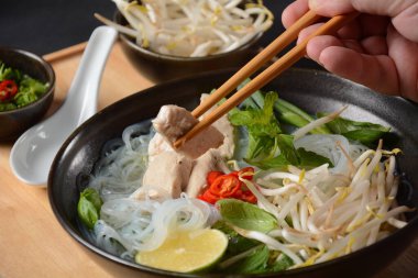 Tavuklu Pho Ga çorbası, erişteli pilav ve taze otlar. Vietnam mutfağı.