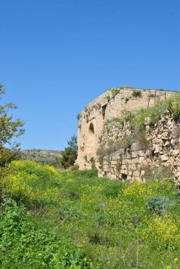 Haçlı Kalesi Şatosu Neuf - Metsudat Hunin 'in kalıntıları İsrail' in kuzeyindeki Yukarı Celile 'deki İsrail Margaliot köyünün girişinde yer almaktadır.
