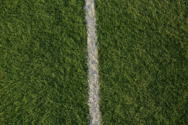 Pole Świeżej Zielonej Trawy Tekstury Jako Tło Widok Bliska Piłka — Zdjęcie stockowe