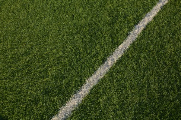 Pole Świeżej Zielonej Trawy Tekstury Jako Tło Widok Bliska Piłka — Zdjęcie stockowe