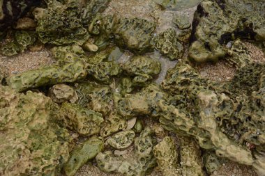 Bir Kurkar kumtaşı oluşumu yaklaşıyor. Akdeniz kıyı şeridi