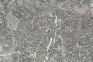 Cilt kiremit duvar kâğıdı için doğal mermer dokusu. Lüks arka plan. Travertine mermeri, İtalyan mermeri levhası, kireç taşı ya da Kapalı yüzey grunge taş dokusu, cilalanmış doğal granit taş.