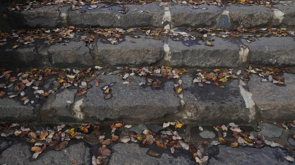 Escalones Piedra Cubiertos Con Hojas Caídas Primer Plano Disparando Hojas —  Fotos de Stock