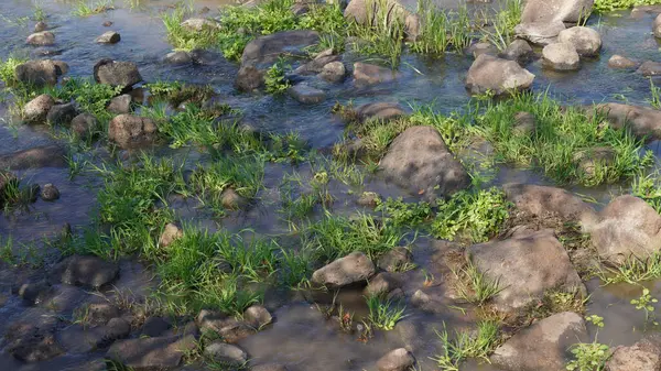 Nehir manzarası Yehudiya Ormanı Doğa Koruma Alanı, Golan Tepeleri, Kuzey İsrail
