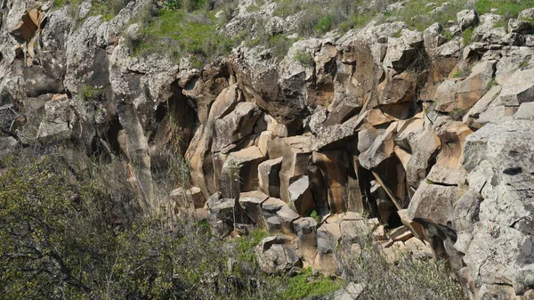 Άποψη Των Εξαγωνικών Πυλώνων Του Zavitan Στο Δάσος Yehudiya Στα — Φωτογραφία Αρχείου
