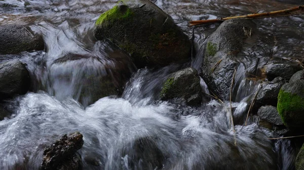 Rushing Ρυάκι Στο Ρεύμα Του Δάσους Πέτρες Βρύα Φύλλα Και — Φωτογραφία Αρχείου