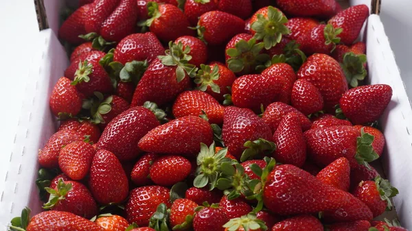 Fraises Fraîches Dans Une Boîte Blanche Aliments Sains — Photo