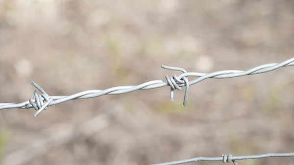 鉄条網だ 農場のフェンスの警備の一部だ 牛飼育場における有刺鉄線柵の閉鎖 私有財産の保護 — ストック写真