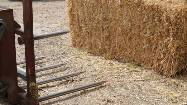 堆满干草的拖拉机铲在谷仓前的刀片 — 图库照片