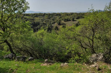 Büyük Jüpiter manzarası Golan Tepeleri, Odem Ormanı 'ndaki çukur çukuru, Kuzey İsrail