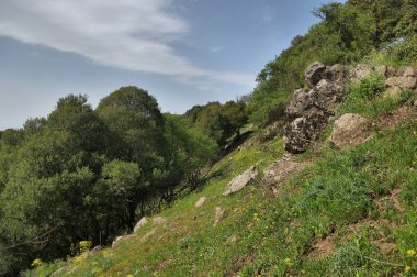Büyük Jüpiter manzarası Golan Tepeleri, Odem Ormanı 'ndaki çukur çukuru, Kuzey İsrail