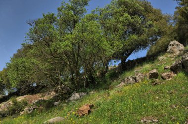 Büyük Jüpiter manzarası Golan Tepeleri, Odem Ormanı 'ndaki çukur çukuru, Kuzey İsrail
