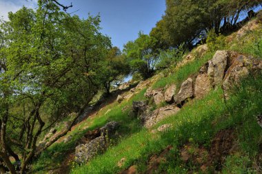 Büyük Jüpiter manzarası Golan Tepeleri, Odem Ormanı 'ndaki çukur çukuru, Kuzey İsrail