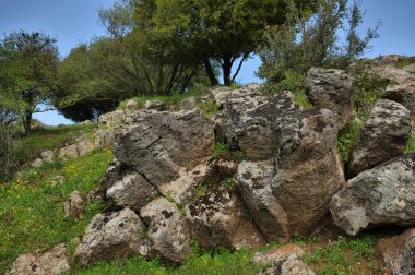 Büyük Jüpiter manzarası Golan Tepeleri, Odem Ormanı 'ndaki çukur çukuru, Kuzey İsrail