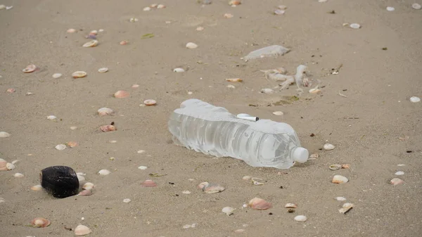 Plastic Pollution Empty Plastic Bottle Beach Pollution Concept Trash Empty — Stock Photo, Image